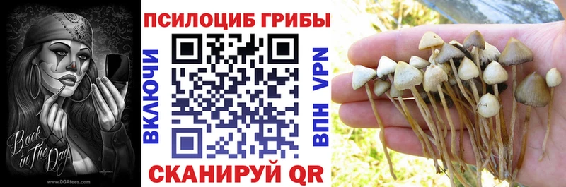 Купить  Данилов  Галлюциногенные грибы MAGIC MUSHROOMS 